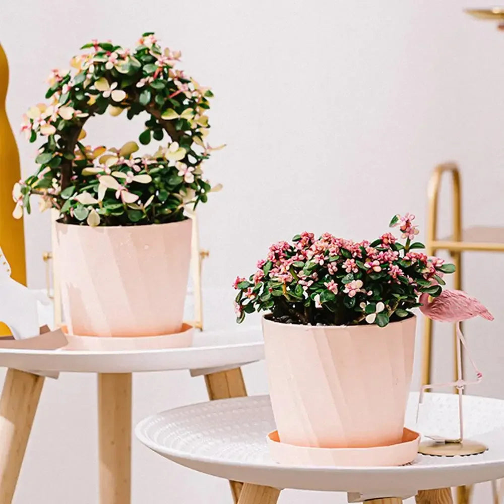 Europäischer Blumentopf aus Kunststoff mit Unterschale