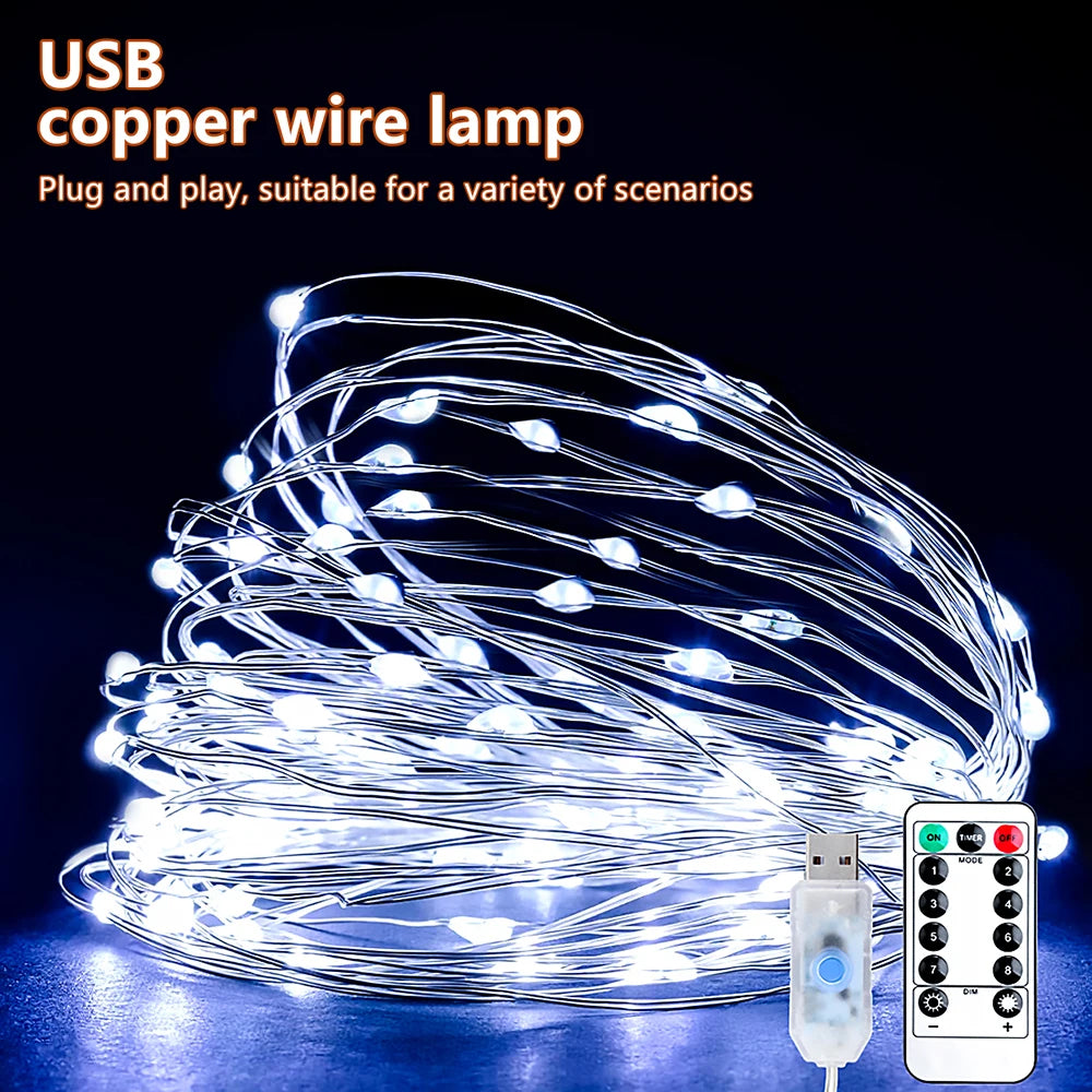 Flexible USB/Batteriebetriebene LED-Lichterkette (Kupfer-/Silberdraht)
